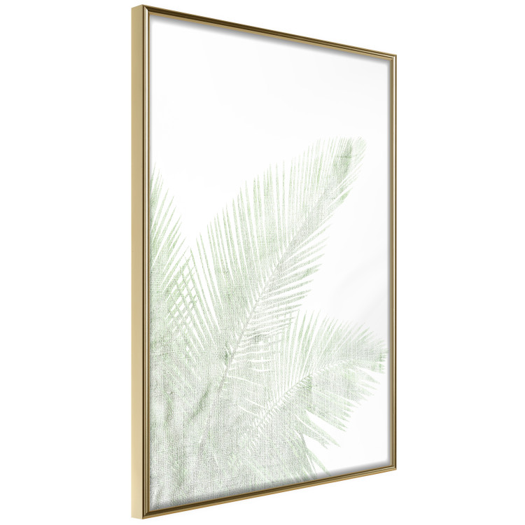Poster Velvet Green - green palm leaf on a contrasting white background 126861 additionalImage 12