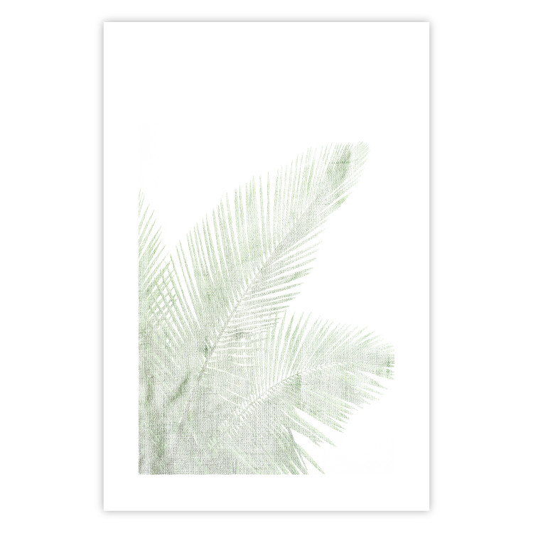 Poster Velvet Green - green palm leaf on a contrasting white background 126861 additionalImage 25