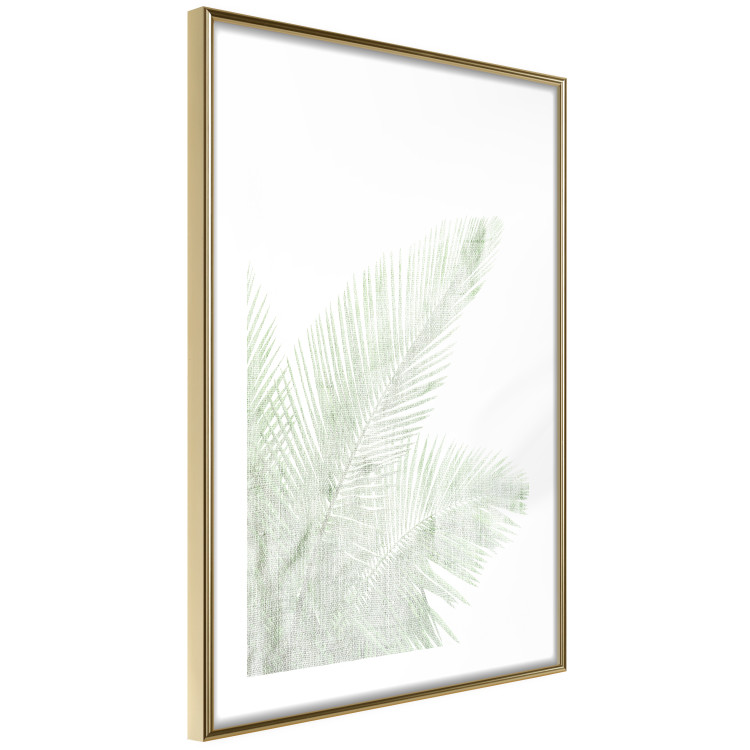 Poster Velvet Green - green palm leaf on a contrasting white background 126861 additionalImage 7