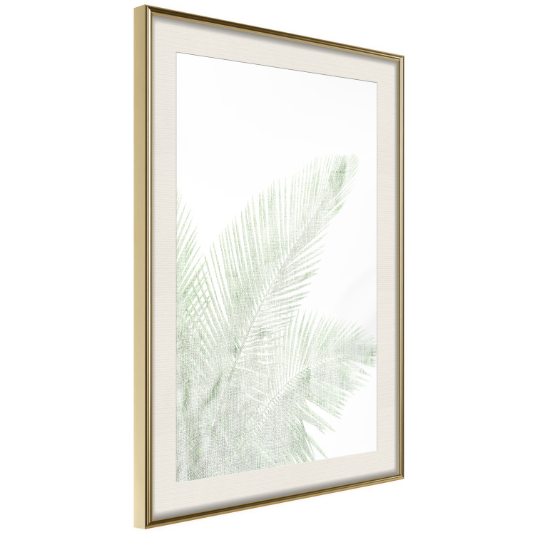Poster Velvet Green - green palm leaf on a contrasting white background 126861 additionalImage 3