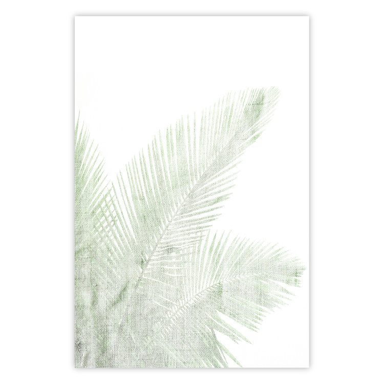 Poster Velvet Green - green palm leaf on a contrasting white background 126861
