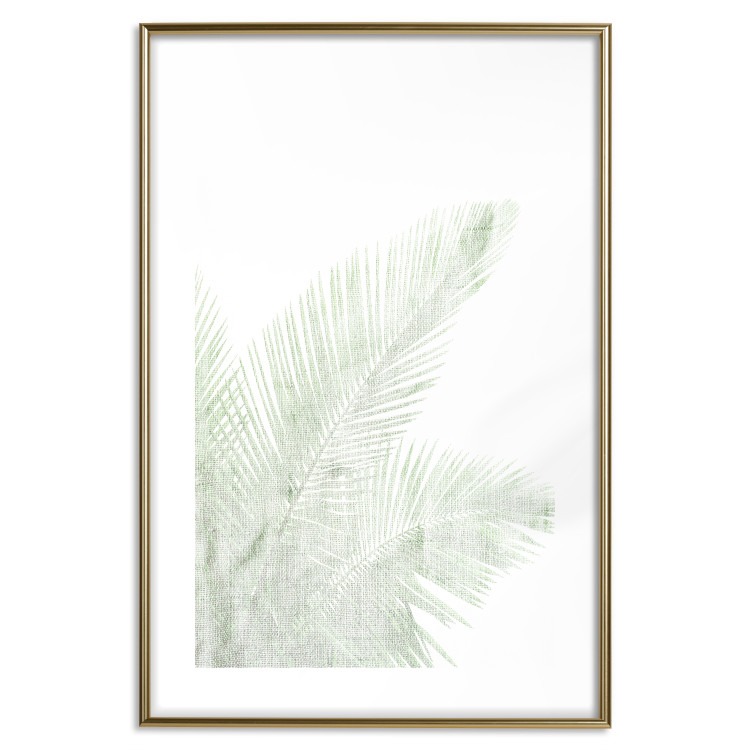 Poster Velvet Green - green palm leaf on a contrasting white background 126861 additionalImage 16