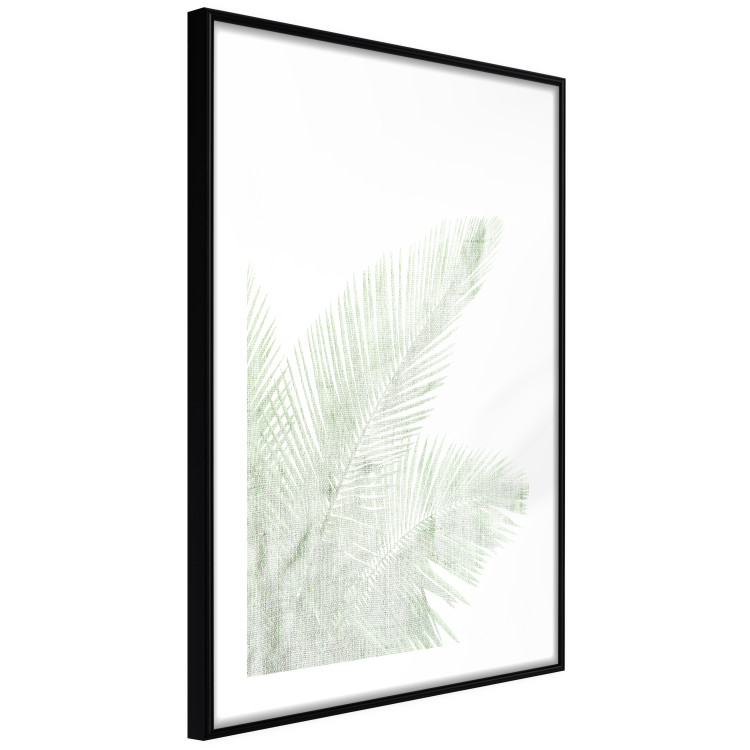 Poster Velvet Green - green palm leaf on a contrasting white background 126861 additionalImage 6