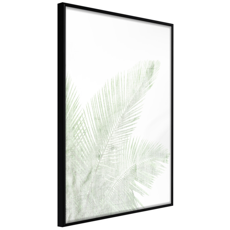 Poster Velvet Green - green palm leaf on a contrasting white background 126861 additionalImage 13