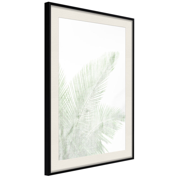 Poster Velvet Green - green palm leaf on a contrasting white background 126861 additionalImage 2