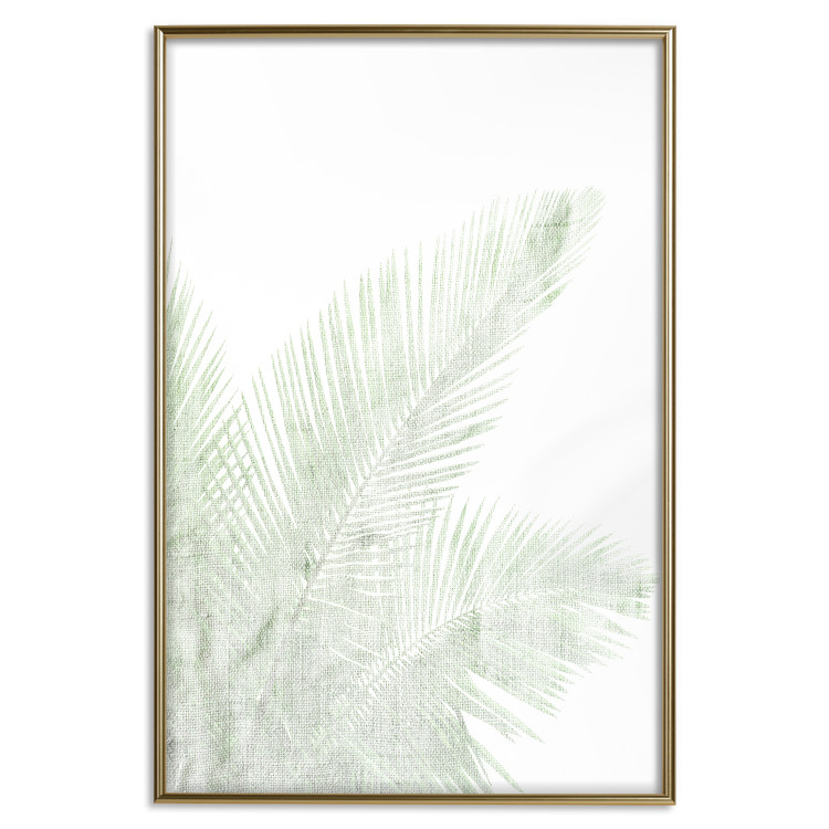 Poster Velvet Green - green palm leaf on a contrasting white background 126861 additionalImage 21