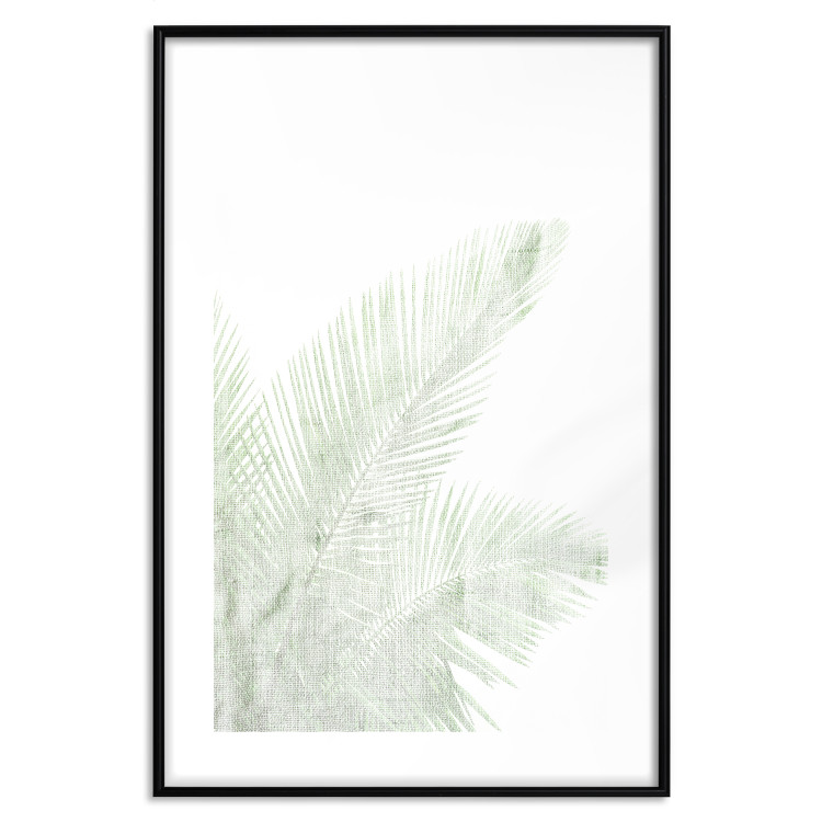 Poster Velvet Green - green palm leaf on a contrasting white background 126861 additionalImage 17