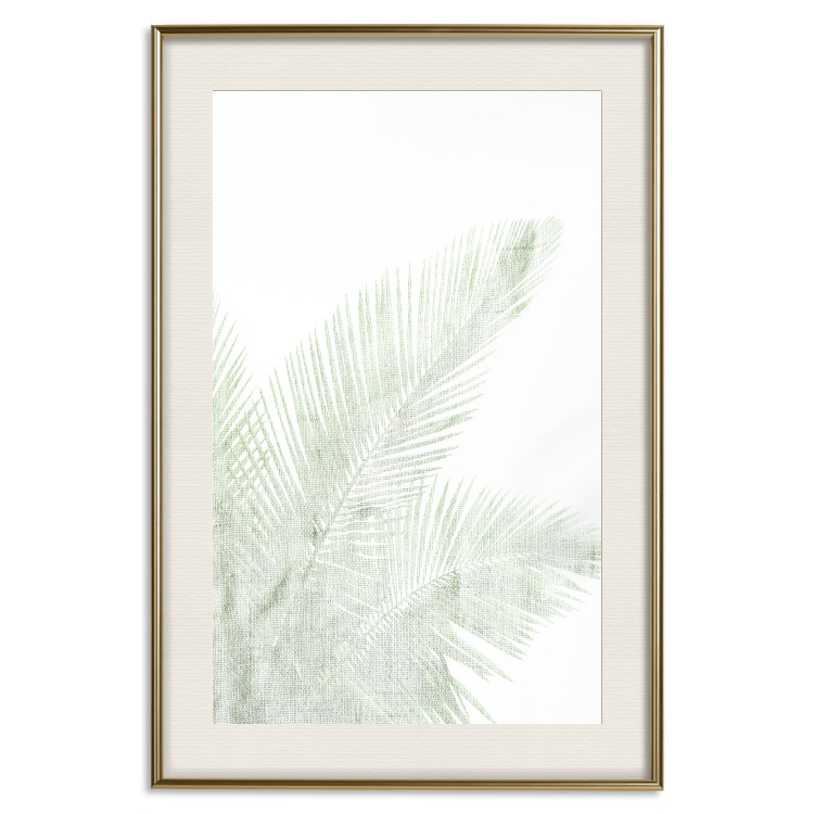 Poster Velvet Green - green palm leaf on a contrasting white background 126861 additionalImage 20