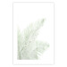 Poster Velvet Green - green palm leaf on a contrasting white background 126861 additionalThumb 25