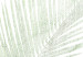 Poster Velvet Green - green palm leaf on a contrasting white background 126861 additionalThumb 10