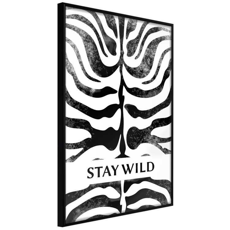 Poster Stay Wild - English inscriptions on a black-and-white zebra background 127061 additionalImage 11