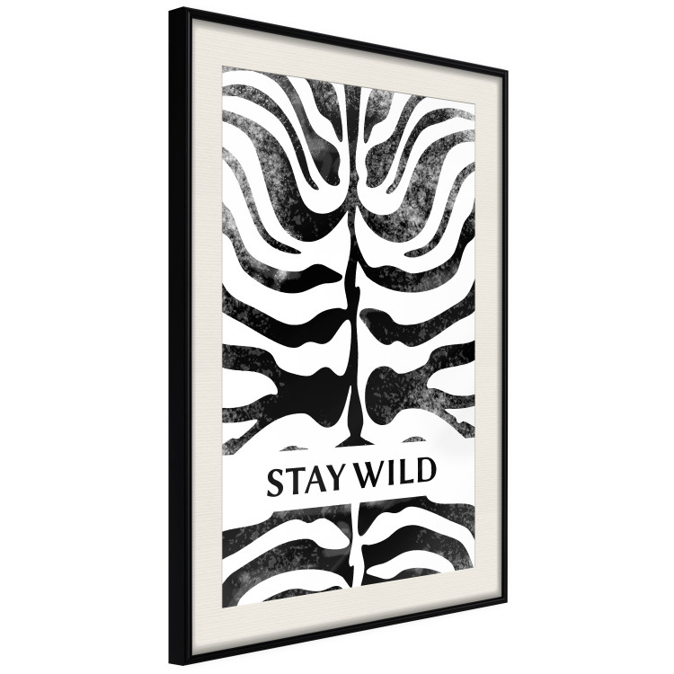 Poster Stay Wild - English inscriptions on a black-and-white zebra background 127061 additionalImage 2