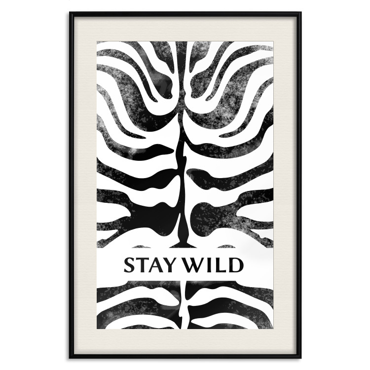 Poster Stay Wild - English inscriptions on a black-and-white zebra background 127061 additionalImage 27