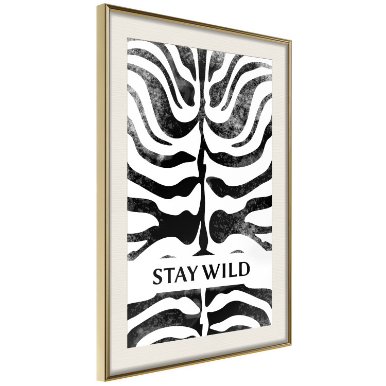 Poster Stay Wild - English inscriptions on a black-and-white zebra background 127061 additionalImage 3