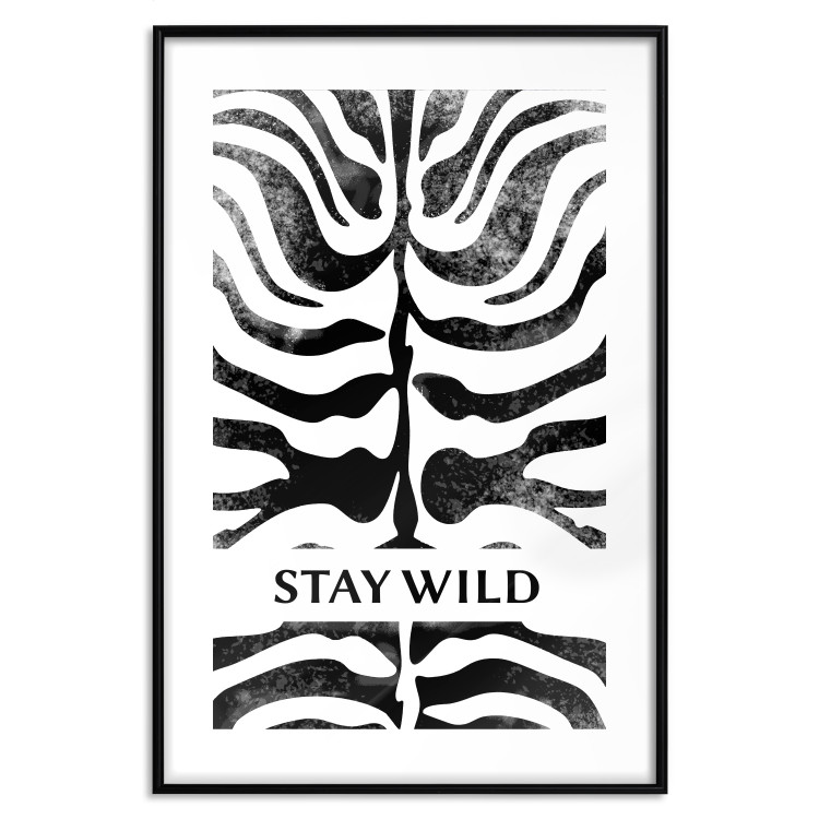 Poster Stay Wild - English inscriptions on a black-and-white zebra background 127061 additionalImage 19