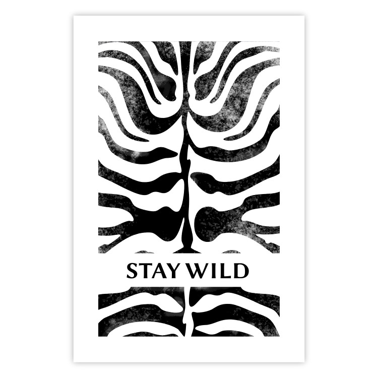 Poster Stay Wild - English inscriptions on a black-and-white zebra background 127061 additionalImage 21
