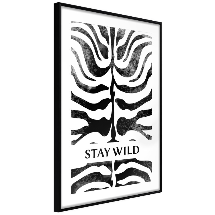 Poster Stay Wild - English inscriptions on a black-and-white zebra background 127061 additionalImage 8