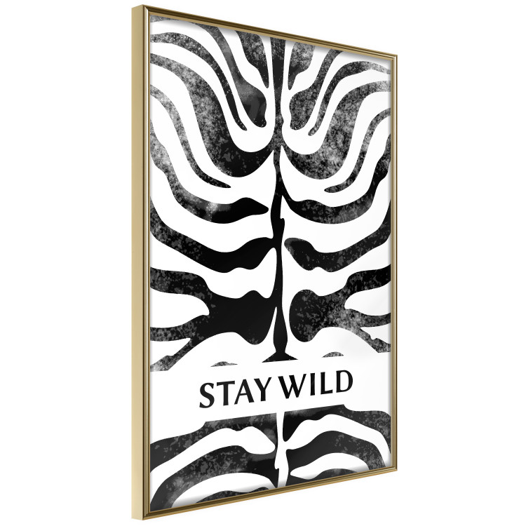 Poster Stay Wild - English inscriptions on a black-and-white zebra background 127061 additionalImage 12