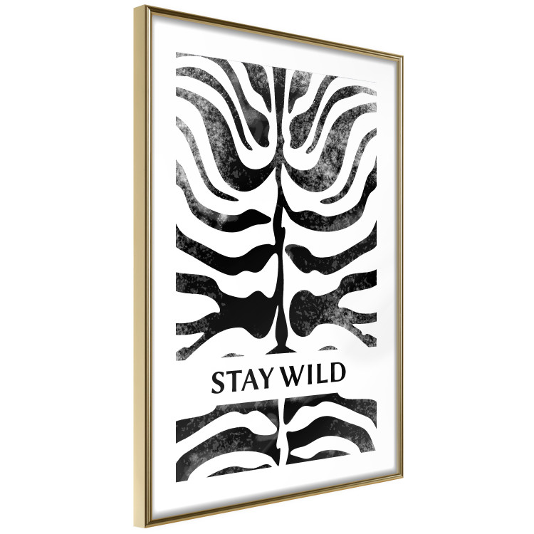 Poster Stay Wild - English inscriptions on a black-and-white zebra background 127061 additionalImage 9