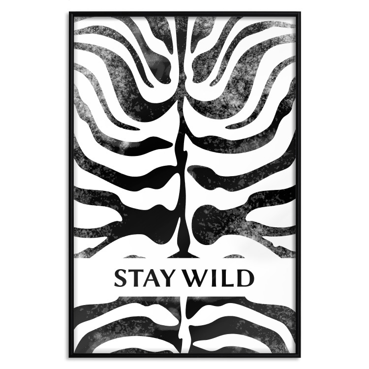 Poster Stay Wild - English inscriptions on a black-and-white zebra background 127061 additionalImage 14