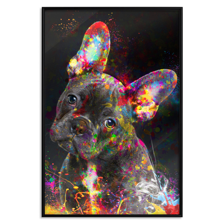 Poster Marufi - portrait of abstract black dog with colorful accents 128361 additionalImage 16