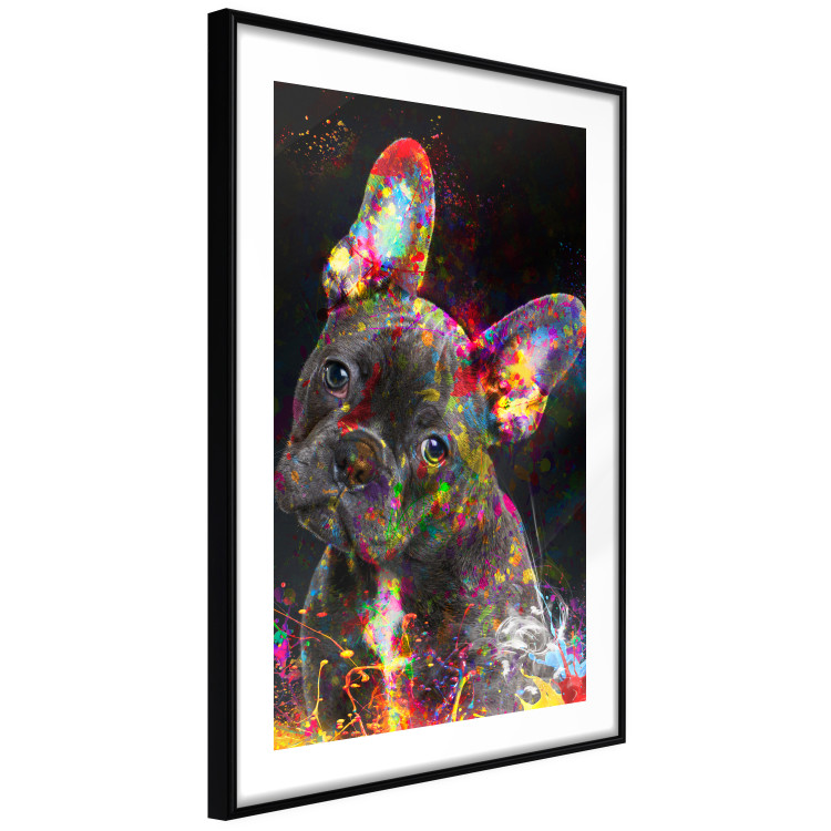 Poster Marufi - portrait of abstract black dog with colorful accents 128361 additionalImage 6