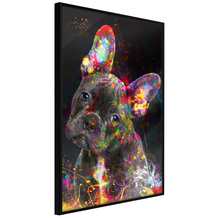 Poster Marufi - portrait of abstract black dog with colorful accents 128361 additionalImage 11