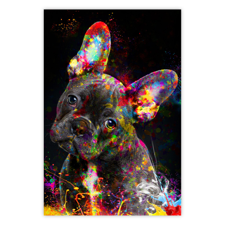 Poster Marufi - portrait of abstract black dog with colorful accents 128361