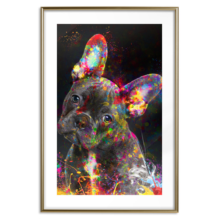 Poster Marufi - portrait of abstract black dog with colorful accents 128361 additionalImage 14