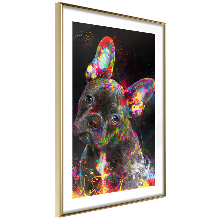 Poster Marufi - portrait of abstract black dog with colorful accents 128361 additionalImage 7