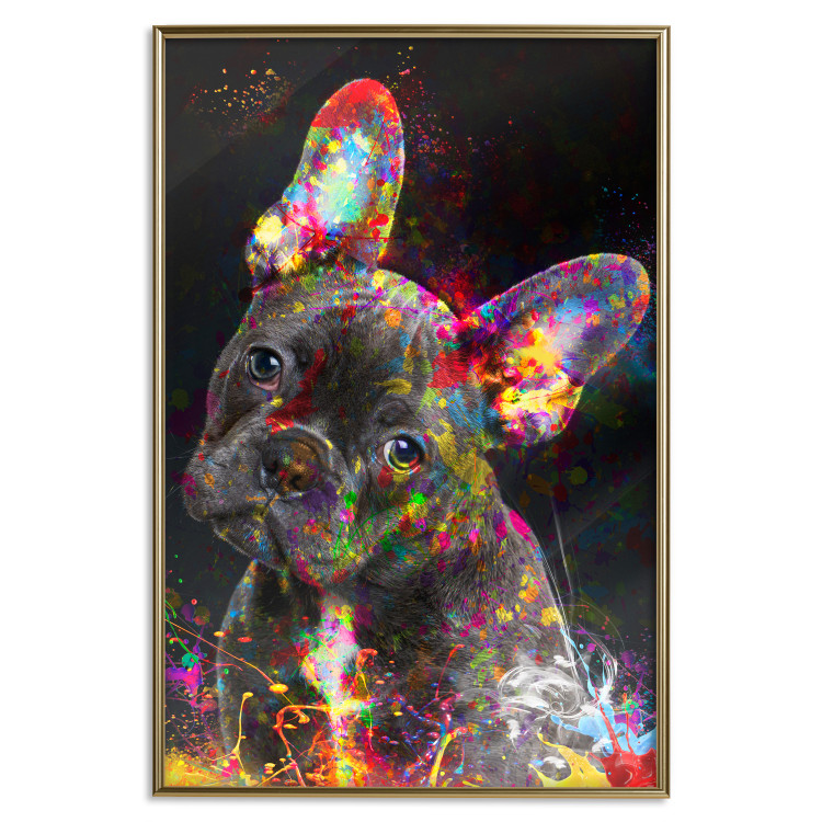 Poster Marufi - portrait of abstract black dog with colorful accents 128361 additionalImage 17