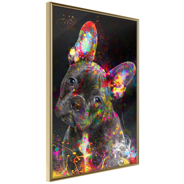Poster Marufi - portrait of abstract black dog with colorful accents 128361 additionalImage 12