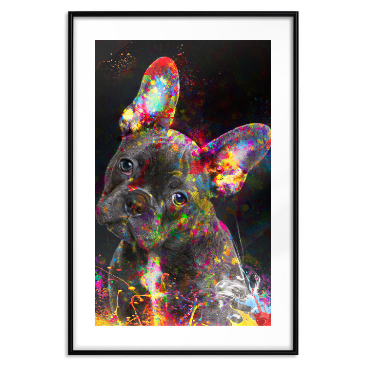 Poster Marufi - portrait of abstract black dog with colorful accents 128361 additionalImage 15