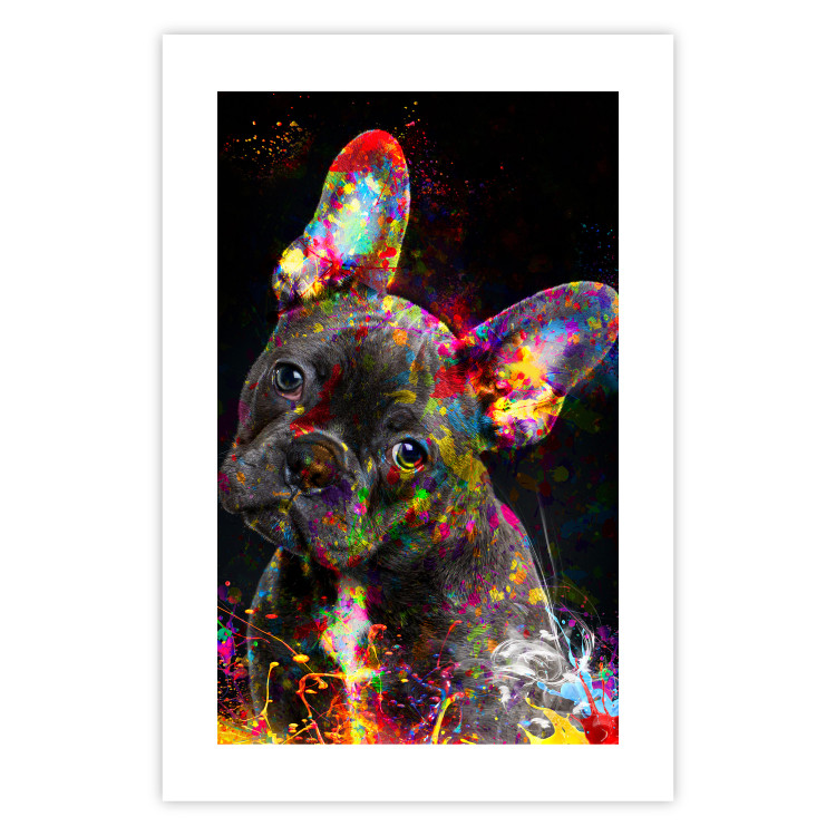 Poster Marufi - portrait of abstract black dog with colorful accents 128361 additionalImage 19