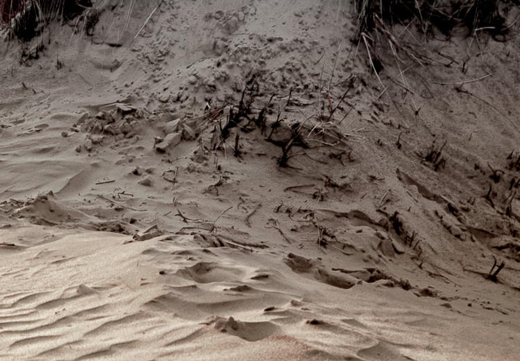 Canvas Art Print Path Through Dunes (1-piece) Vertical - beach landscape with sea backdrop 130361 additionalImage 4