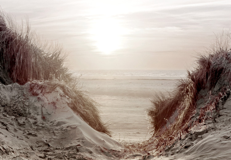 Canvas Art Print Path Through Dunes (1-piece) Vertical - beach landscape with sea backdrop 130361 additionalImage 5