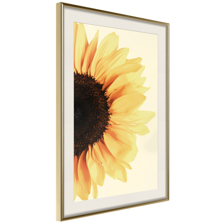 Wall Poster Closer to the Sun - natural sunflower on a gently yellow background 135761 additionalImage 14