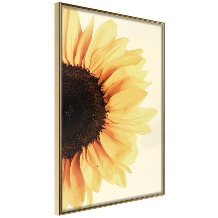 Wall Poster Closer to the Sun - natural sunflower on a gently yellow background 135761 additionalImage 8