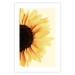 Wall Poster Closer to the Sun - natural sunflower on a gently yellow background 135761 additionalThumb 17