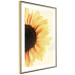 Wall Poster Closer to the Sun - natural sunflower on a gently yellow background 135761 additionalThumb 10