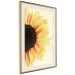 Wall Poster Closer to the Sun - natural sunflower on a gently yellow background 135761 additionalThumb 14