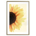 Wall Poster Closer to the Sun - natural sunflower on a gently yellow background 135761 additionalThumb 4
