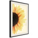 Wall Poster Closer to the Sun - natural sunflower on a gently yellow background 135761 additionalThumb 13
