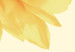Wall Poster Closer to the Sun - natural sunflower on a gently yellow background 135761 additionalThumb 2