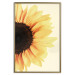 Wall Poster Closer to the Sun - natural sunflower on a gently yellow background 135761 additionalThumb 26