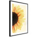 Wall Poster Closer to the Sun - natural sunflower on a gently yellow background 135761 additionalThumb 11