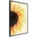 Wall Poster Closer to the Sun - natural sunflower on a gently yellow background 135761 additionalThumb 9