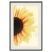 Wall Poster Closer to the Sun - natural sunflower on a gently yellow background 135761 additionalThumb 6