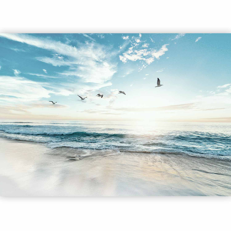 Wall Mural Abandoned beach - seascape with waves, birds and a setting sun 138461 additionalImage 5