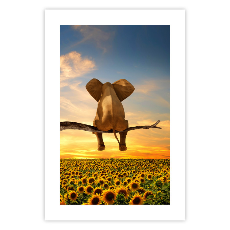 Poster Elephant and Sunflowers [Poster] 142861 additionalImage 24